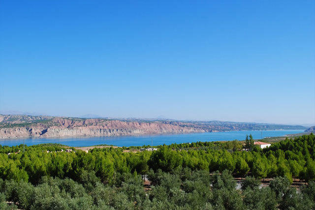 Alojamiento Rural Arucema Freila Oda fotoğraf